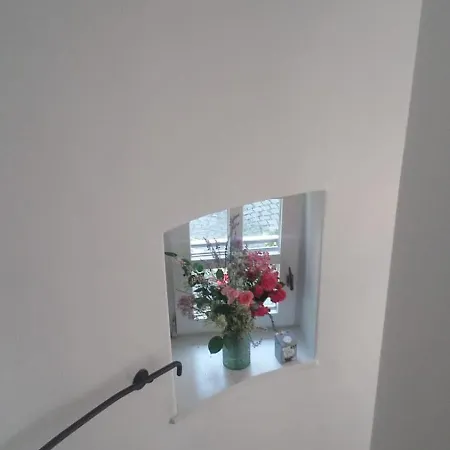 Katzensprung Guest house *
