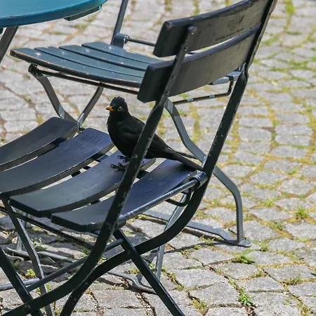 Katzensprung 3* 帕绍