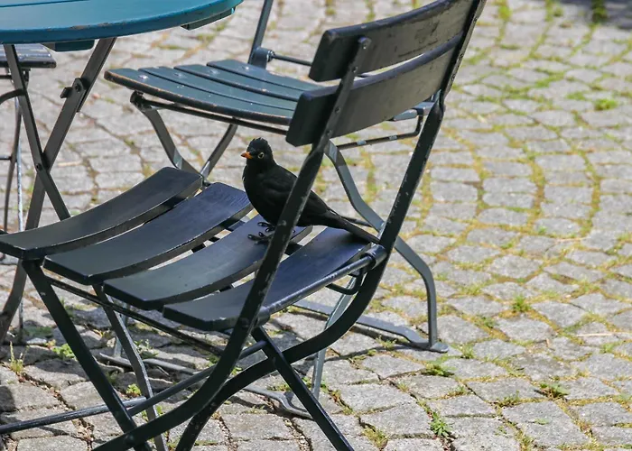 Katzensprung 3* Pasawa